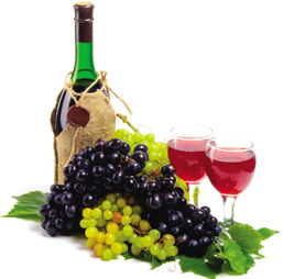 進口法國紅酒報價 廠家